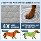 CoolFriend Kühlmatte